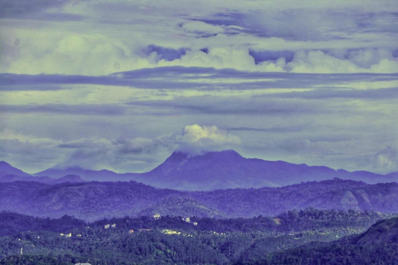 Wild Mist Homestay Munnar Exterior photo